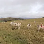 Beech Σπίτι διακοπών Ulverston