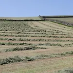 Beech Σπίτι διακοπών Ulverston