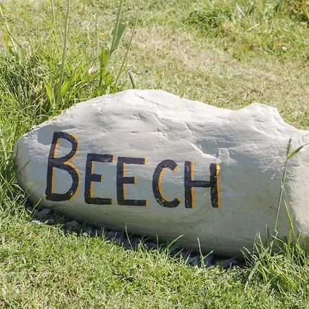 Holiday home Beech *