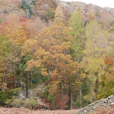 펜션 Beech 울버스톤