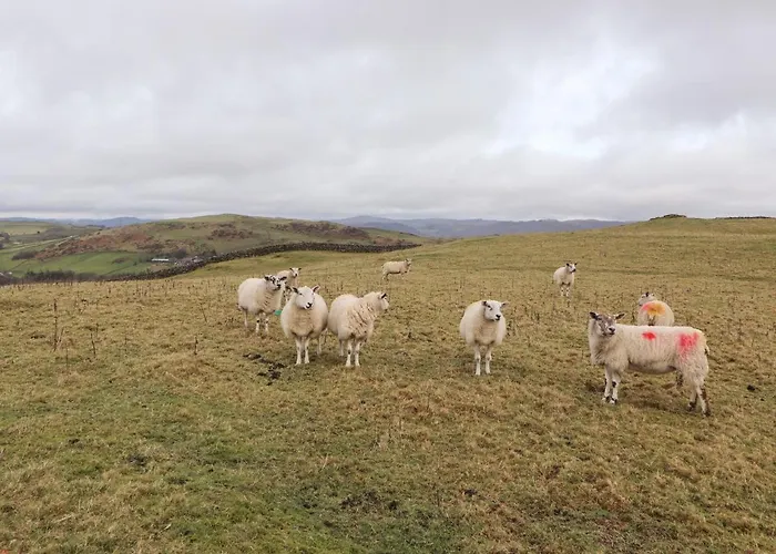 Beech Vakantiehuis Ulverston