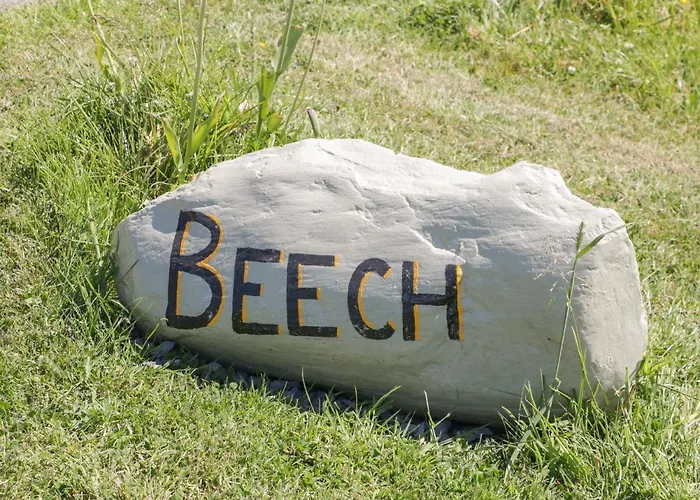 度假居 Beech *