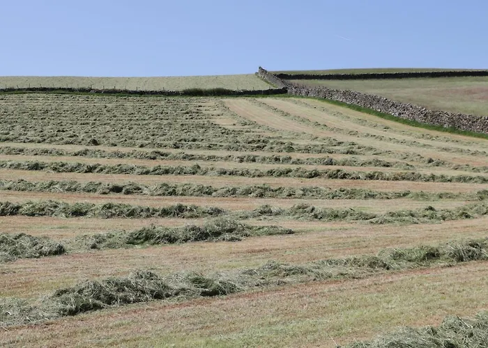 Beech Vakantiehuis Ulverston