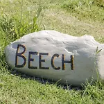 Ferienhaus Beech *